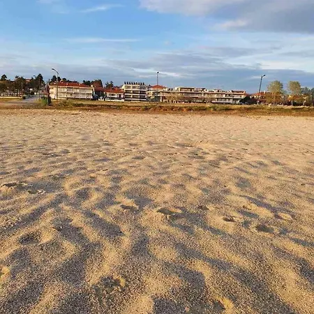 Oasis Apartament